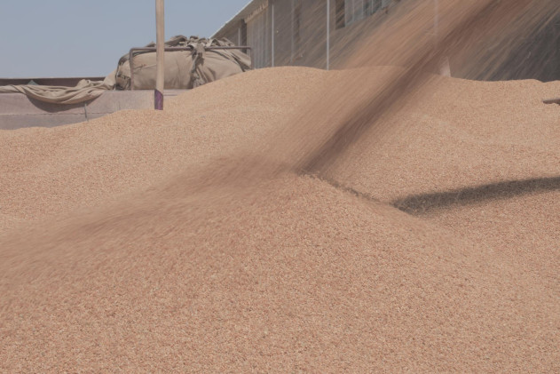 معمل تنقية الحنطة ريادة في الأمن الغذائي