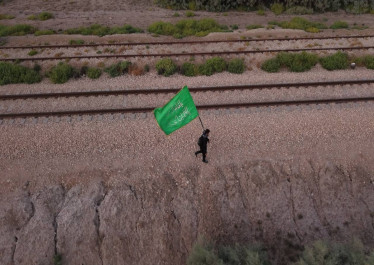 صورة المقالة