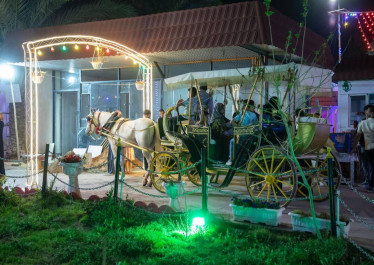 صورة المقالة