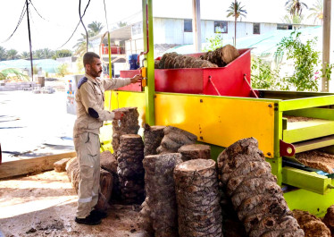 صورة المقالة